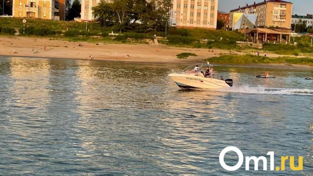 Вместе с мощной жарой на Омскую область обрушится новая напасть