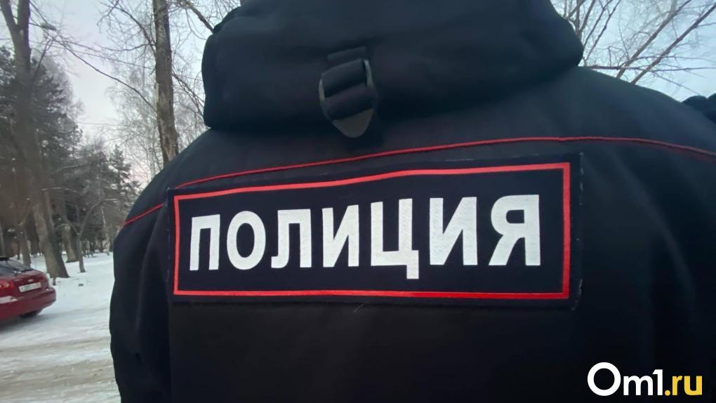Под Омском полицейские и сельский староста выследили курьера мошенников