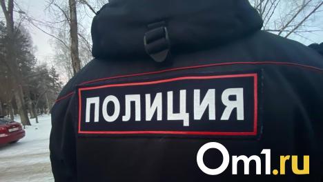 Под Омском полицейские и сельский староста выследили курьера мошенников