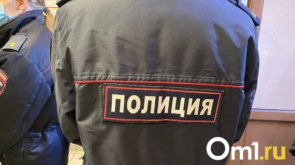 Двое омичей ограбили салон сотовой связи ради 10 муляжей смартфонов