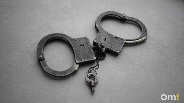 В Омске наркокурьер завела собаку, чтобы незаметно нарушать закон
