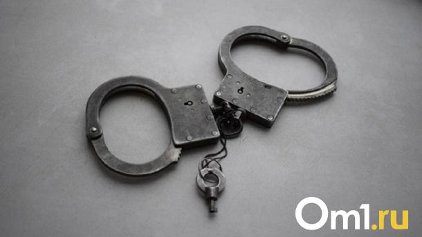 В Омске наркокурьер завела собаку, чтобы незаметно нарушать закон