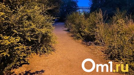 Тело молодого мужчины обнаружили омичи в роще