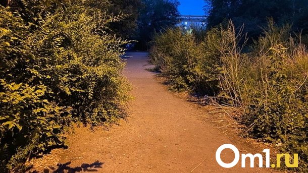 Тело молодого мужчины обнаружили омичи в роще