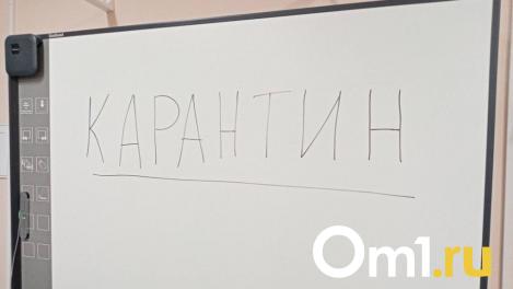 В омских школах и садиках детей отправляют на карантин