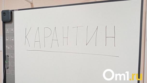 В омских школах и садиках детей отправляют на карантин