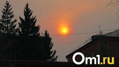 Омичам рассказали, каким воздухом они дышали в апреле
