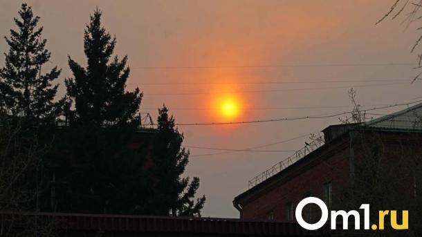 Омичам рассказали, каким воздухом они дышали в апреле