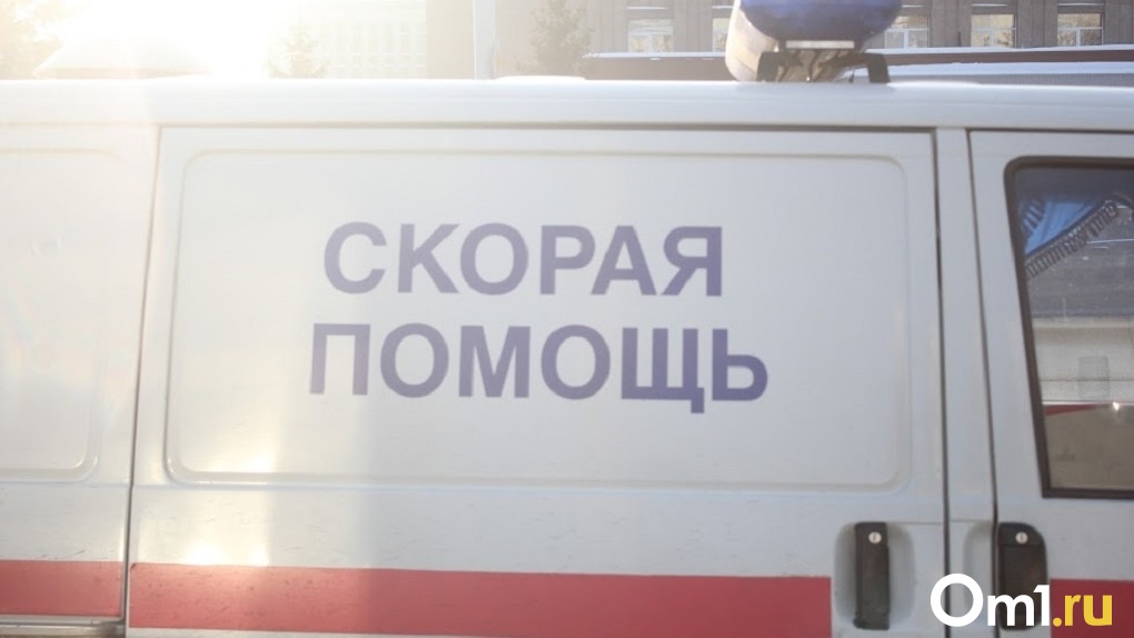 Сломал челюсть: ребёнка избили во время катания на горке в Новосибирске