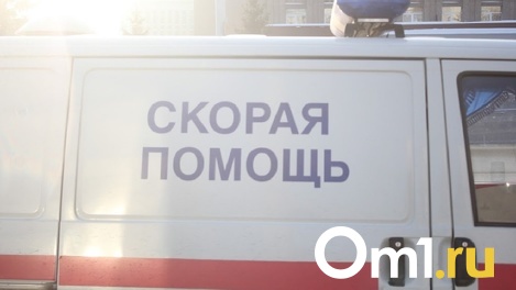 Сломал челюсть: ребёнка избили во время катания на горке в Новосибирске
