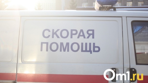 Сломал челюсть: ребёнка избили во время катания на горке в Новосибирске