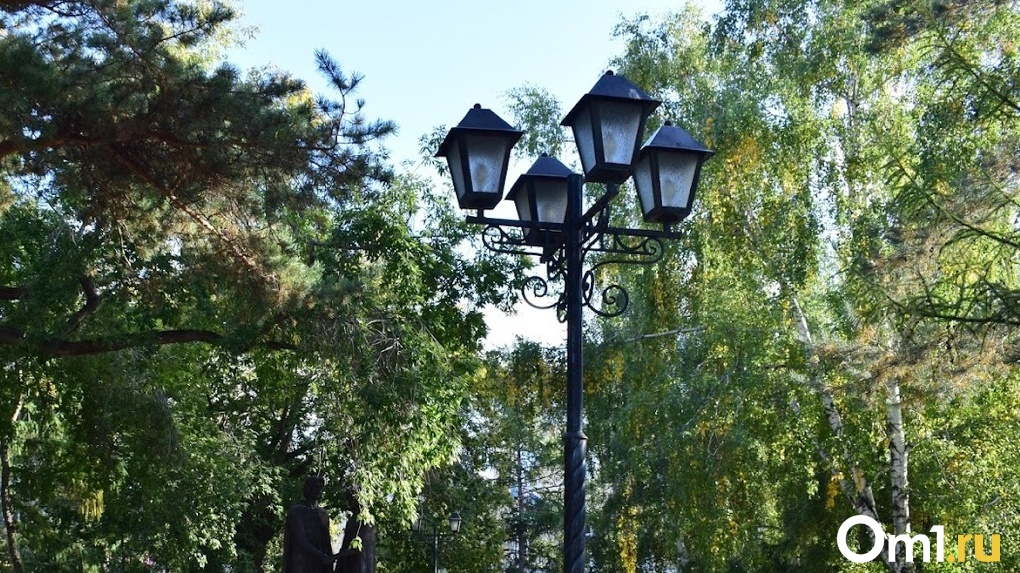 Трое 18-летних жителей Омской области повредили 16 уличных фонарей, установленных в Калачинске год назад