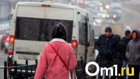 На омские дороги вернут автобусный маршрут № 99