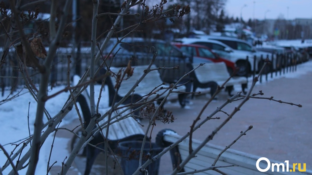 Время для прогулок: в Омск под конец января пришла тёплая и снежная зима