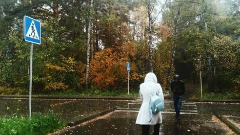 Точную дату завершения бабьего лета в Новосибирске назвала синоптик Кичанова