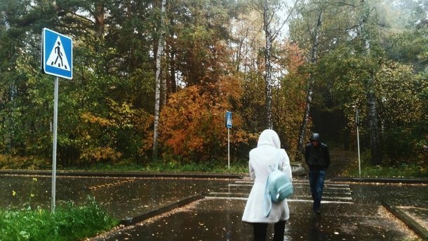 Точную дату завершения бабьего лета в Новосибирске назвала синоптик Кичанова