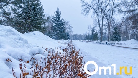 Самый холодный день за 15 лет. Погода 7 марта в Омске поставила рекорд