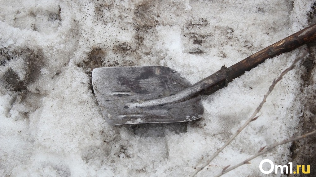 Зарезал ножницами, добил лопатой: новосибирец жестоко убил знакомого