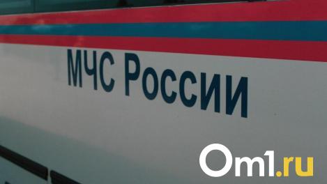 Мошенники под видом сотрудников МЧС обманывают новосибирских пенсионеров