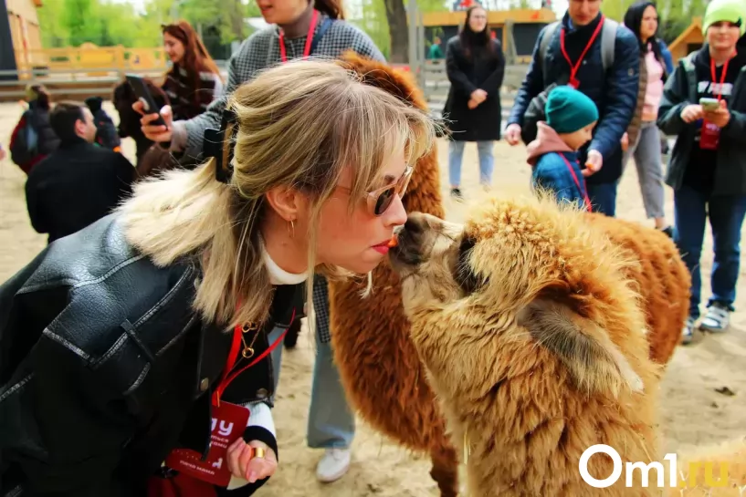 Изображение фоторепортажа