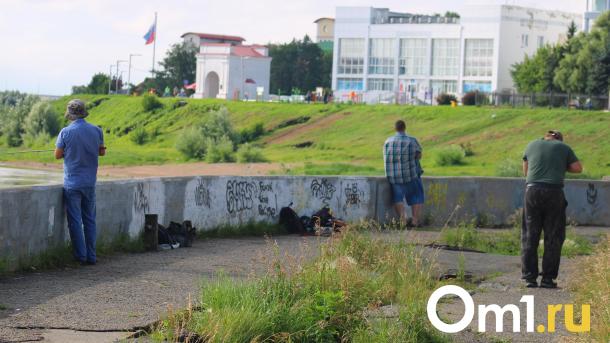 Кое-что в самом центре Омска так и ждёт своего спасителя