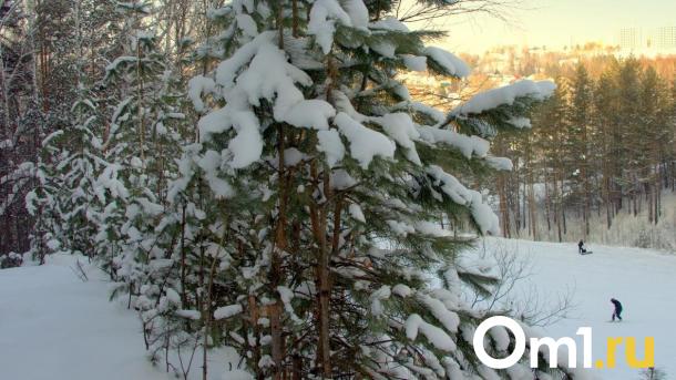 Синоптики рассказали о погодной аномалии в Омске