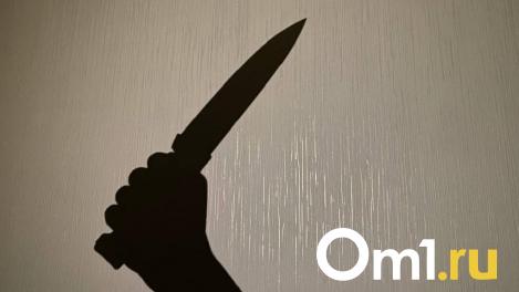 Расчленение тела обернулось 10 годами колонии для мигранта в Новосибирске