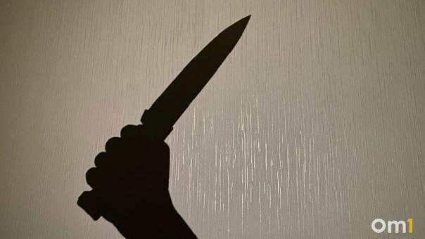 Расчленение тела обернулось 10 годами колонии для мигранта в Новосибирске