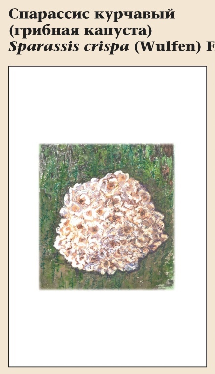 Изображение фоторепортажа