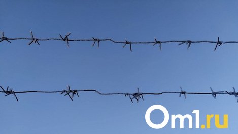 Омича отправили в колонию за нападение на подростка