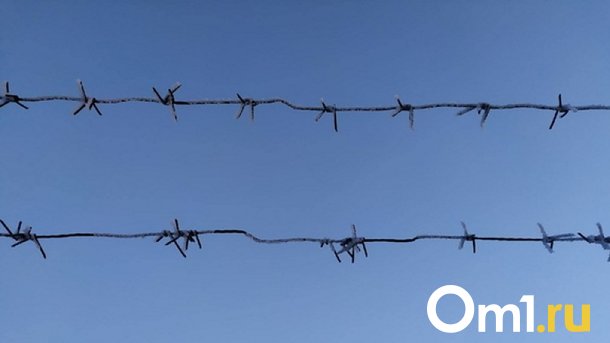Омича отправили в колонию за нападение на подростка