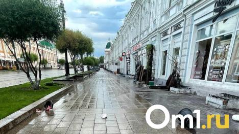 Утро после праздника: омичи поделились фото замусоренных улиц после Дня молодёжи