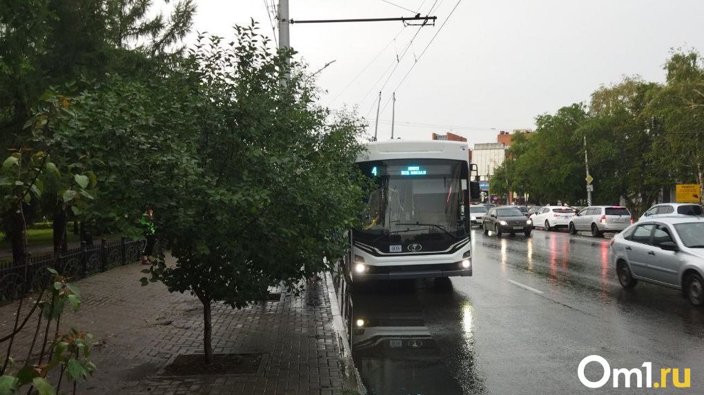 «Зайцы», берегитесь: в омские автобусы возвращаются контролёры