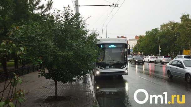 «Зайцы», берегитесь: в омские автобусы возвращаются контролёры