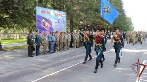 В Новосибирской области начались учения спецназа ОДКБ «Кобальт-2024»