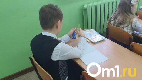 Школьная потасовка с миллионными последствиями: родители расплатились за драку сына под Новосибирском