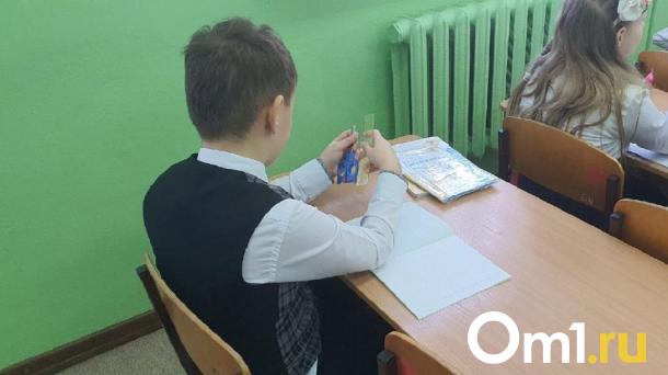 Школьная потасовка с миллионными последствиями: родители расплатились за драку сына под Новосибирском
