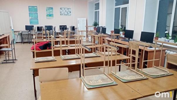Омских учеников из пяти школ переведут на дистанционное обучение