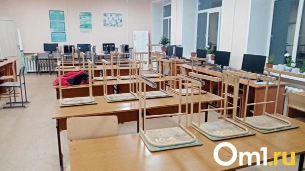 Омских учеников из пяти школ переведут на дистанционное обучение