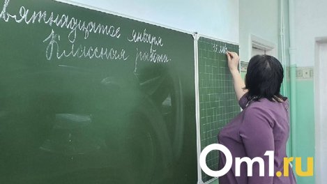 Омские учителя могут пойти на пенсию досрочно