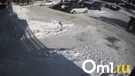 «Тут ходят малыши!»: новосибирец оголился на публику перед детской площадкой