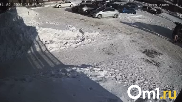 «Тут ходят малыши!»: новосибирец оголился на публику перед детской площадкой