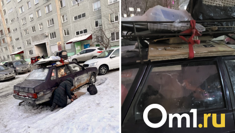Женщина держит собаку в машине посреди омского микрорайона