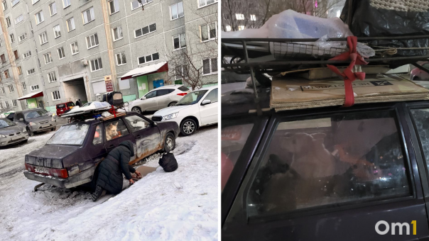Женщина держит собаку в машине посреди омского микрорайона