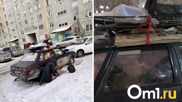 Женщина держит собаку в машине посреди омского микрорайона