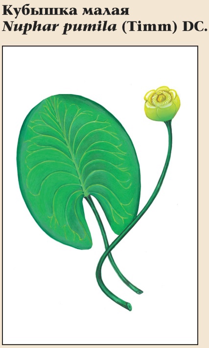 Изображение фоторепортажа