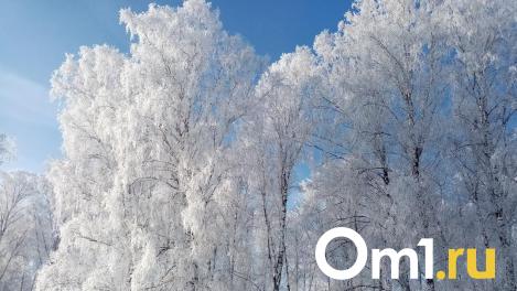 В марте омичей ждёт возвращение 30-градусных морозов