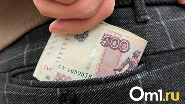 Омский бизнесмен набрал денег в долг и попал под уголовное дело