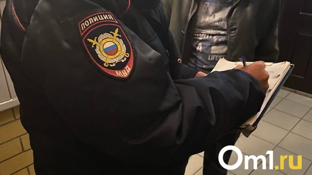В Омске возбудили уголовное дело по факту убийства домашней кошки от пули