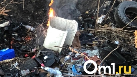 В Новосибирске возбудили уголовное дело после жалоб горожан на жизнь рядом со свалкой